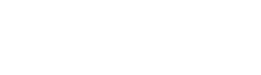 TechBullion